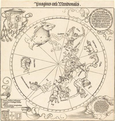 The Southern Celestial Hemisphere by Albrecht Dürer